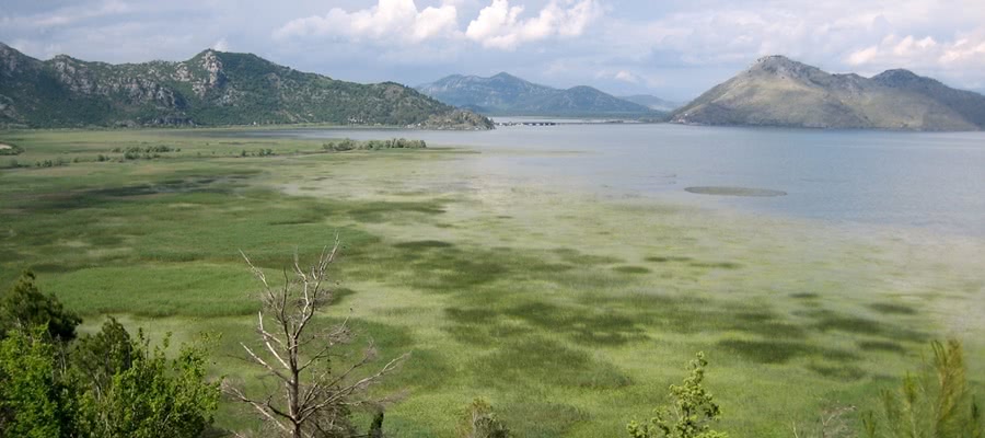 Skutari Lake in Albania
