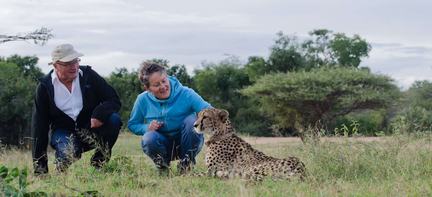 Leopard streichelnde Touristen in Südafrika