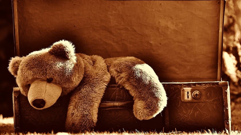 Teddy bear in a old suitcase