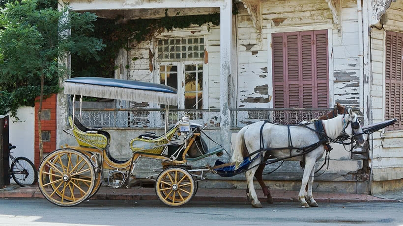 Pferd und Wagen vor einem alten Haus